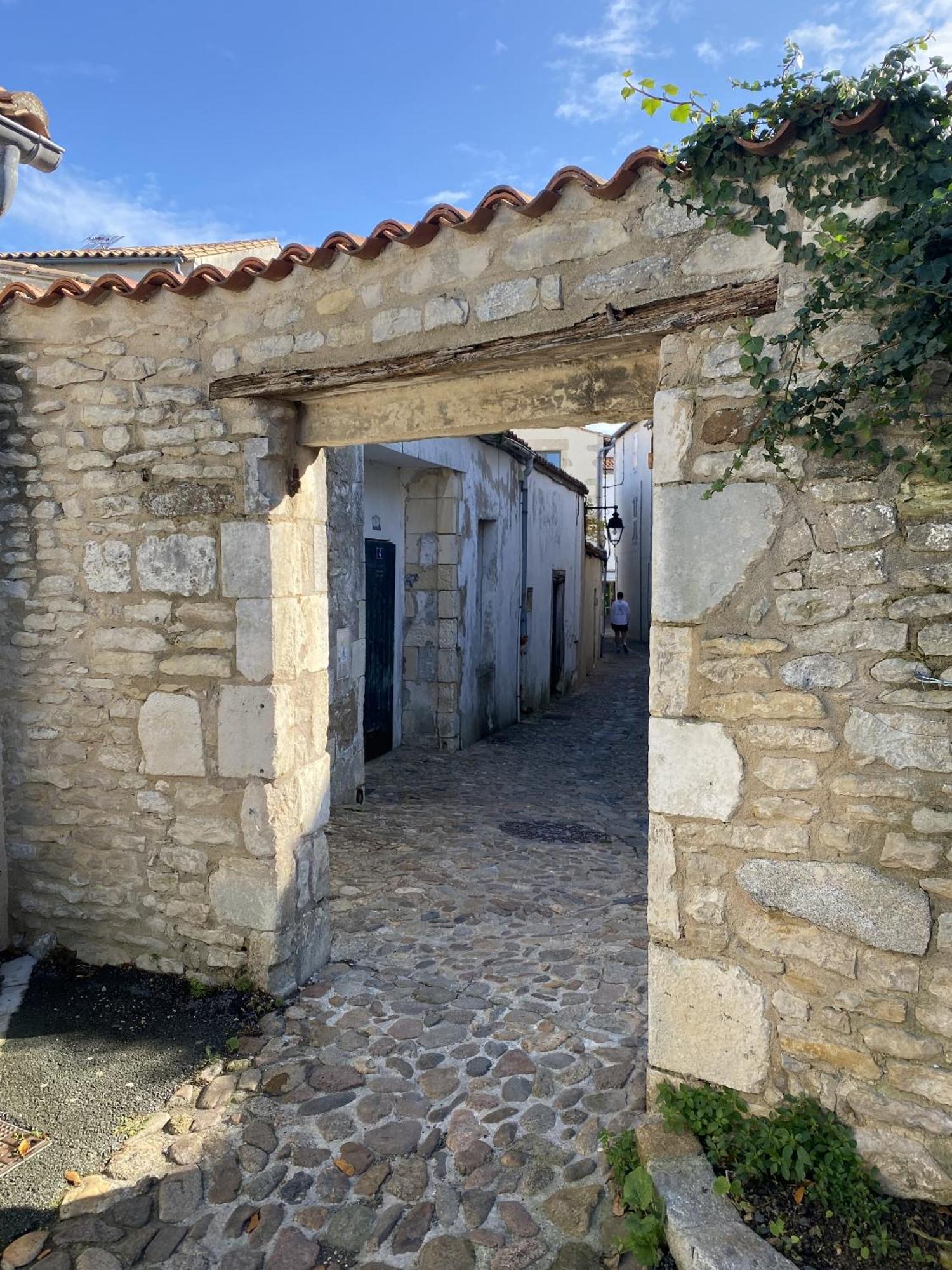 דירות Saint-Martin-de-Ré Les Remparts מראה חיצוני תמונה