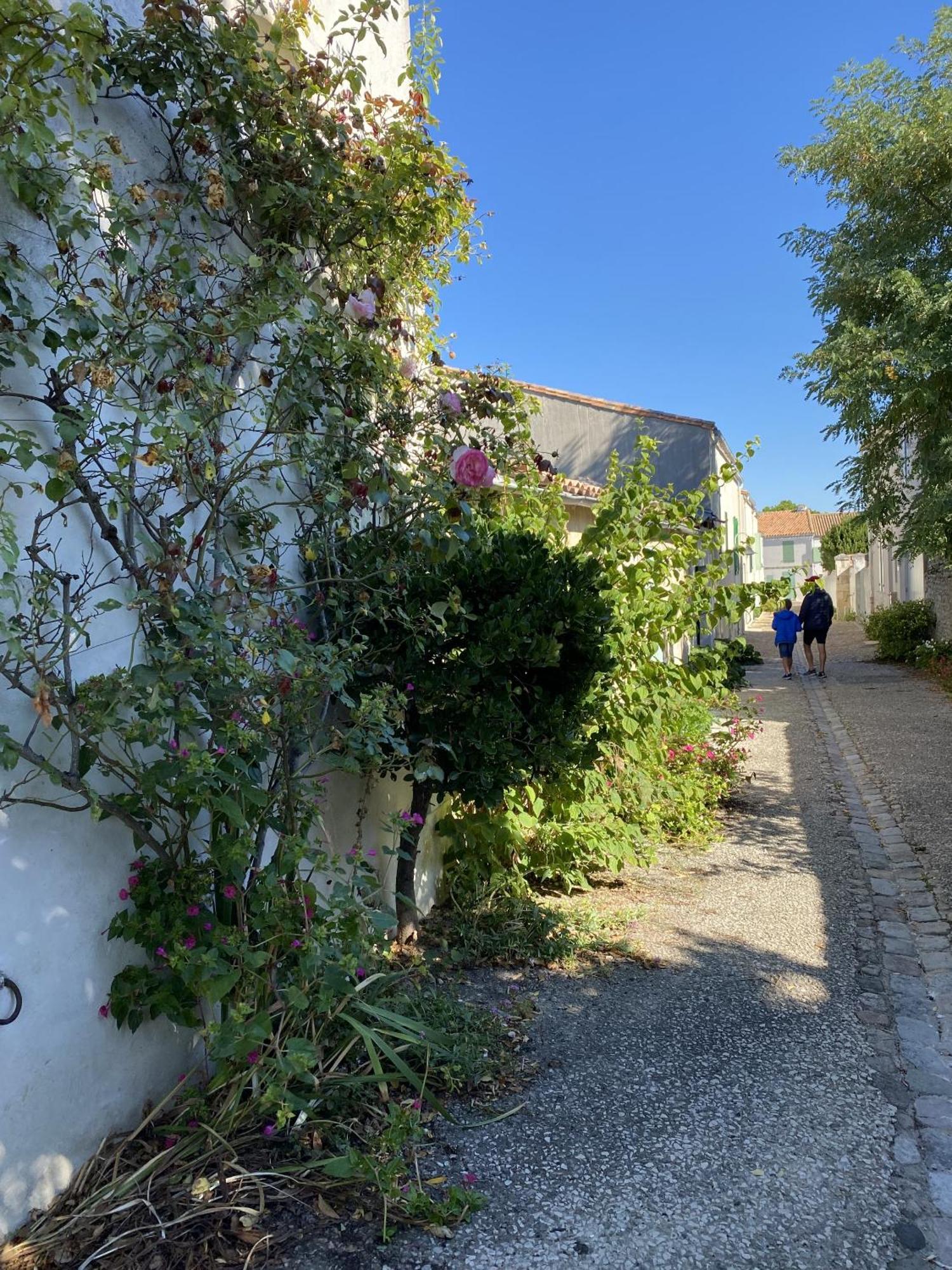 דירות Saint-Martin-de-Ré Les Remparts מראה חיצוני תמונה